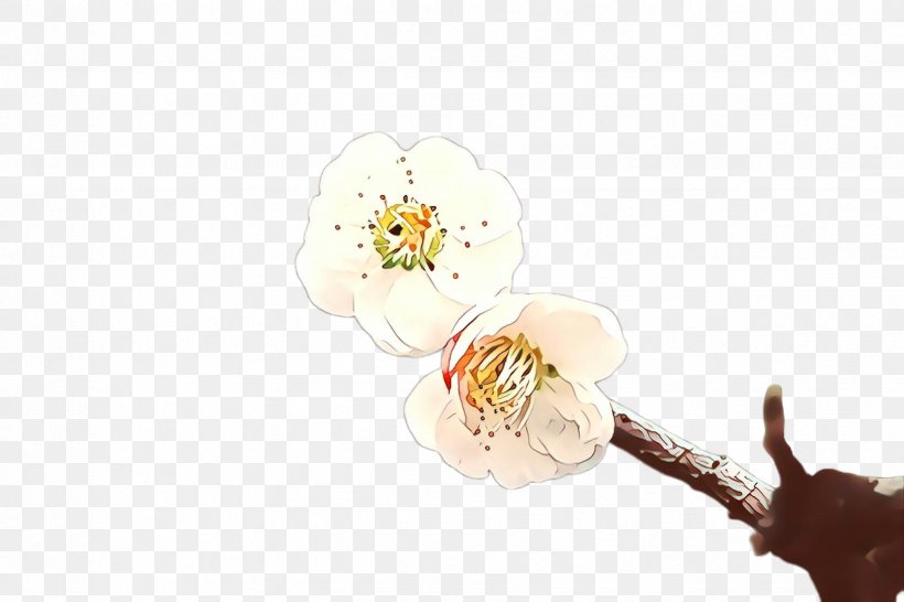 Flower Plant Blossom, PNG, 2448x1632px, Cartoon, Blossom, Flower, Plant Download Free