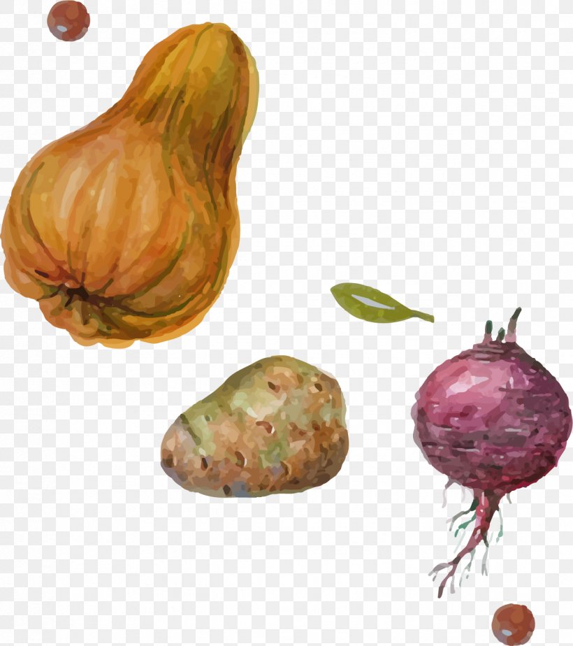 Shallot Pumpkin Vegetable, PNG, 1289x1453px, Shallot, Food, Fruit, Google Images, Melon Download Free