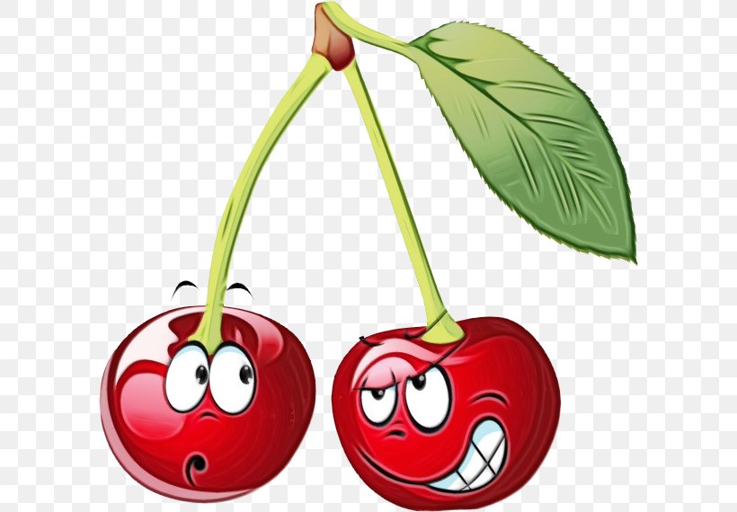 Cherry Red Plant Fruit Clip Art, PNG, 600x570px, Watercolor, Cherry, Drupe, Fruit, Leaf Download Free