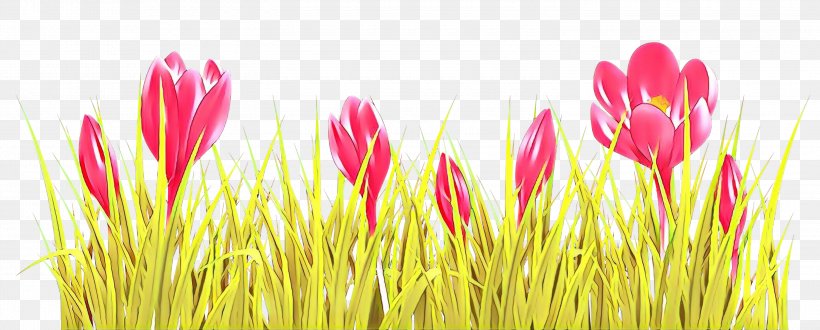 Crocus Vernus Flower Drawing Clip Art, PNG, 3000x1208px, Crocus Vernus, Crocus, Drawing, Flower, Grass Download Free