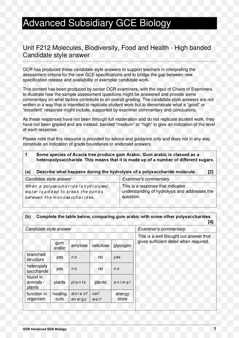 Document Line White, PNG, 1653x2339px, Document, Area, Black And White, Paper, Text Download Free