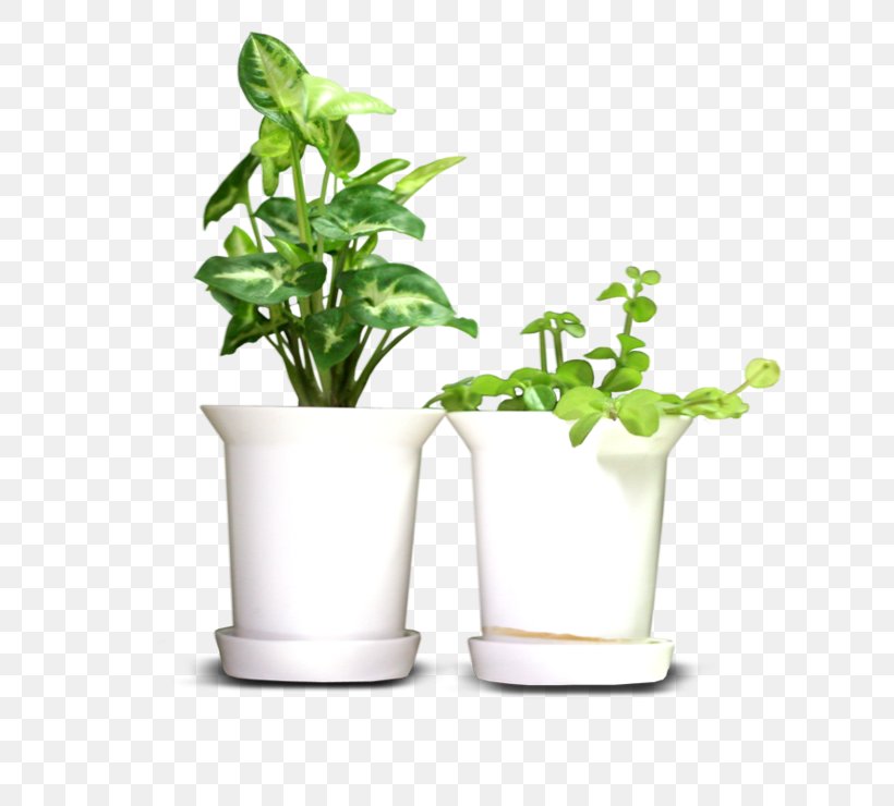 Flowerpot Adobe Photoshop Image Design, PNG, 740x740px, Flowerpot, Bonsai, Data, Herb, Leaf Download Free