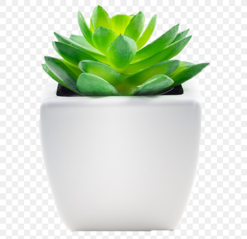 White Flower, PNG, 640x791px, Vase, Agave, Aloe, Cachepot, Centrepiece Download Free