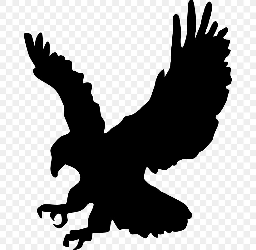 Bald Eagle Silhouette Clip Art, PNG, 666x800px, Bald Eagle, Artwork, Beak, Bird, Bird Of Prey Download Free