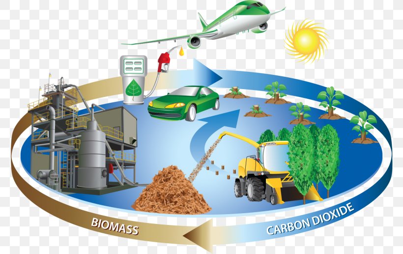 Biomass Biofuel Renewable Energy, PNG, 800x516px, Biomass, Alternative Energy, Biodiesel, Biodiesel Production, Bioenergy Download Free