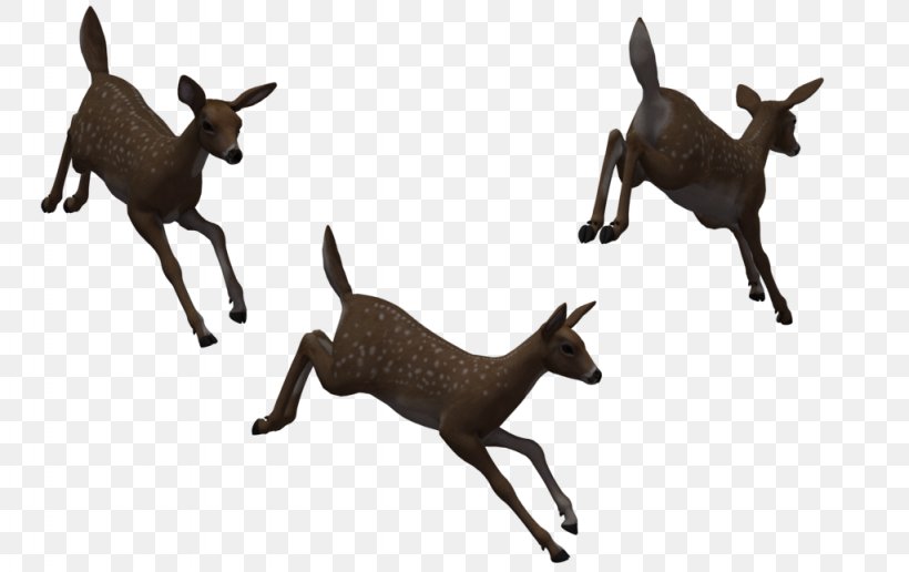 Deer Horse Download, PNG, 1024x645px, Deer, Animal, Animal Figure, Antelope, Cartoon Download Free