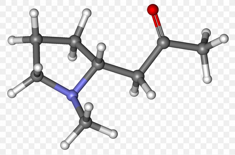 Ball-and-stick Model Hygrine Molecule Space-filling Model Chemical Nomenclature, PNG, 1999x1319px, Watercolor, Cartoon, Flower, Frame, Heart Download Free