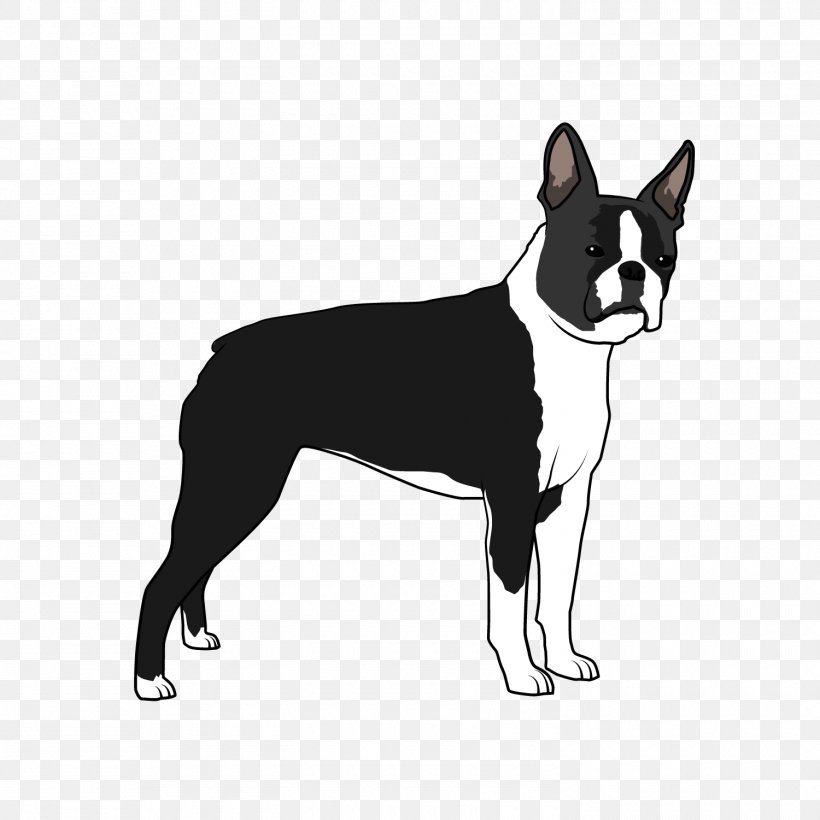 Boston Terrier Dog Breed Non-sporting Group Whiskers Breed Group (dog), PNG, 1500x1500px, Boston Terrier, Black And White, Boston, Breed, Breed Group Dog Download Free