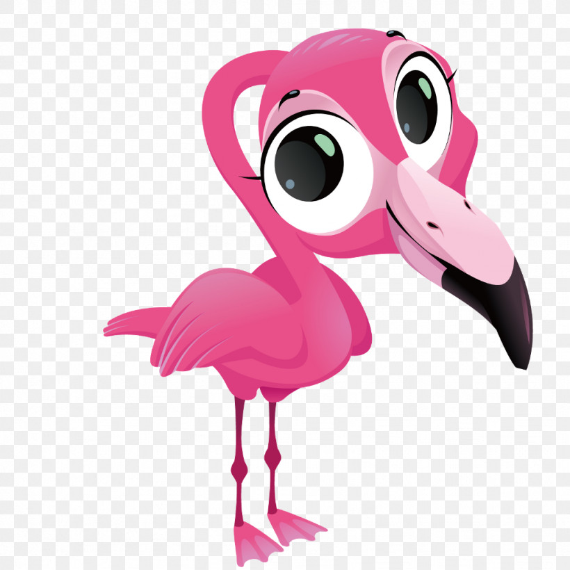 Flamingo, PNG, 1024x1024px, Greater Flamingo, Animation, Beak, Bird, Cartoon Download Free