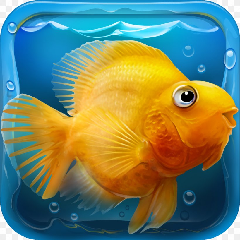 IQuarium Relaxing Game Download Android, PNG, 1024x1024px, Iquarium, Android, App Store, Beak, Bony Fish Download Free