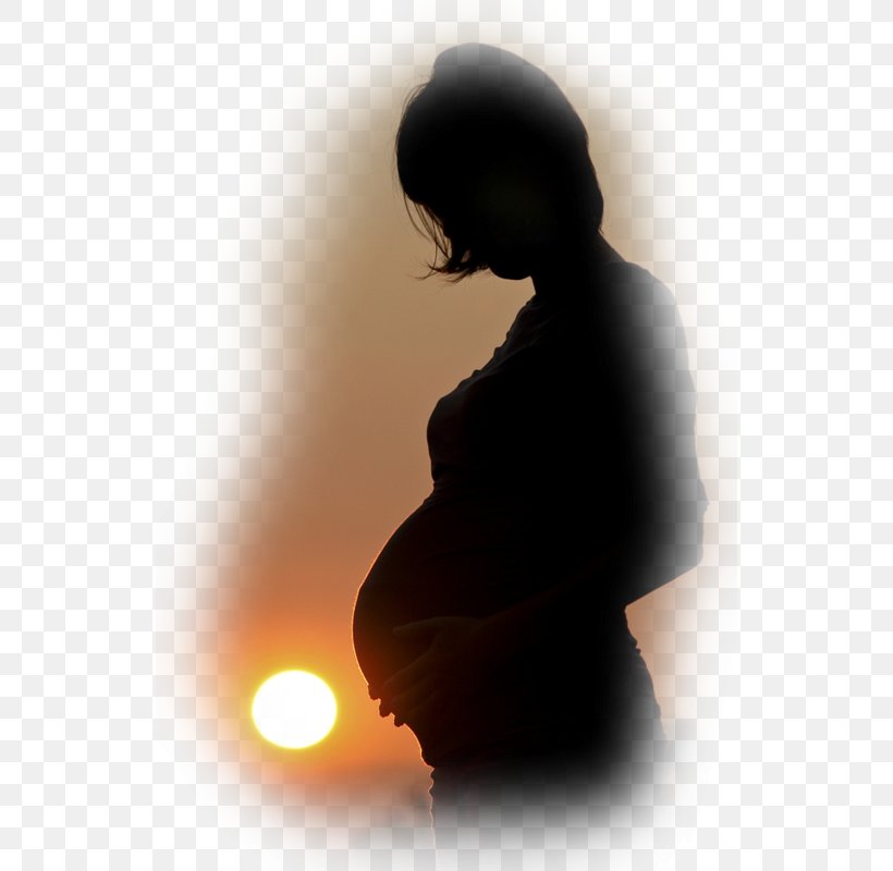 Pregnancy Photography Mother Silhouette, PNG, 534x800px, Pregnancy, Computer, Contrejour, Joint, Loudspeaker Enclosure Download Free