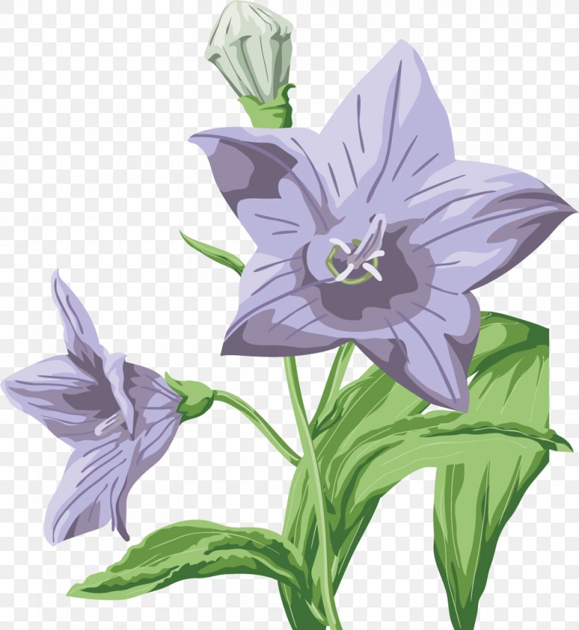 Wedding Flower Clip Art, PNG, 1015x1105px, Wedding, Amaryllis Belladonna, Bellflower, Bellflower Family, Bellflowers Download Free