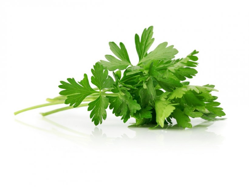Herb Parsley Garnish Spice Flavor, PNG, 1200x900px, Herb, Basil, Common Sage, Cooking, Coriander Download Free