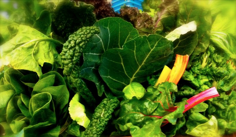 Leaf Vegetable Eating Nutrition Food, PNG, 1302x758px, Leaf Vegetable, Chard, Chinese Cabbage, Collard Greens, Diet Download Free