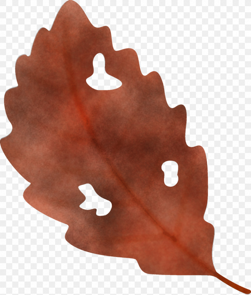 Worm-eaten Leaf Fallen Leaf Dead Leaf, PNG, 872x1026px, Worm Eaten Leaf, Autumn Leaf, Dead Leaf, Fallen Leaf, Leaf Download Free