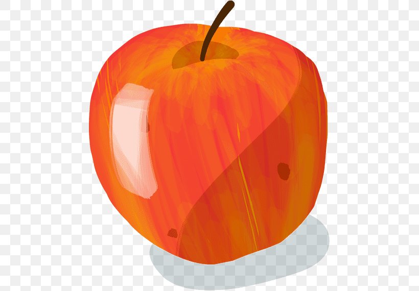 Jack-o'-lantern Apple King Of The Pippins Suntan Court-Pendu, PNG, 570x570px, Jacko Lantern, Apple, Biocoop, Calabaza, Courtpendu Download Free
