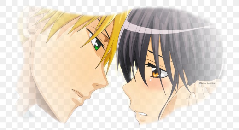 Takumi Usui Misaki Ayuzawa Maid Sama! 1080p High-definition Television, PNG, 755x446px, Watercolor, Cartoon, Flower, Frame, Heart Download Free