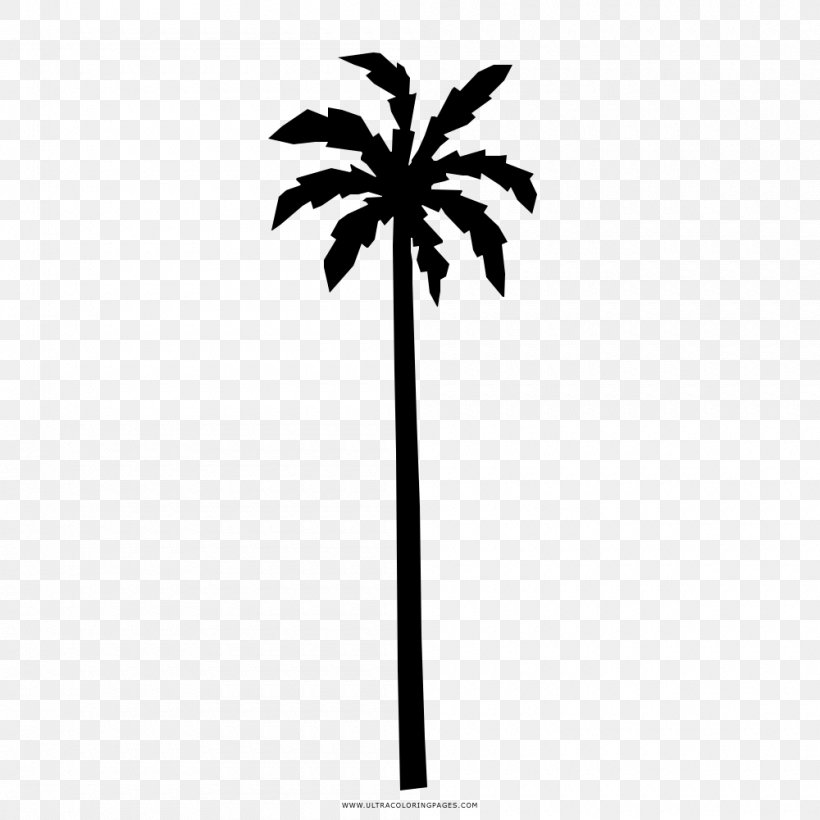 Asian Palmyra Palm Drawing Sunglasses Coloring Book Niumba, PNG, 1000x1000px, Asian Palmyra Palm, Arecaceae, Arecales, Black And White, Borassus Flabellifer Download Free