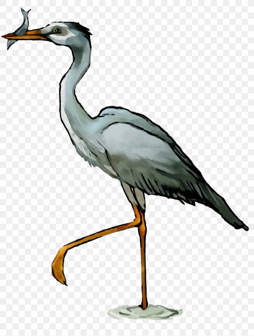 Bird Beak Crane-like Bird Little Blue Heron Heron, PNG, 1122x1480px, Watercolor, Beak, Bird, Crane, Cranelike Bird Download Free