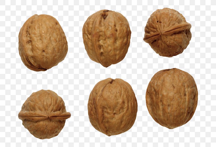 English Walnut Clip Art, PNG, 760x557px, Walnut, Dried Fruit, English Walnut, Food, Fruit Download Free