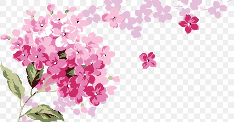 Flower Clip Art, PNG, 1200x630px, Flower, Blossom, Branch, Cherry Blossom, Cut Flowers Download Free