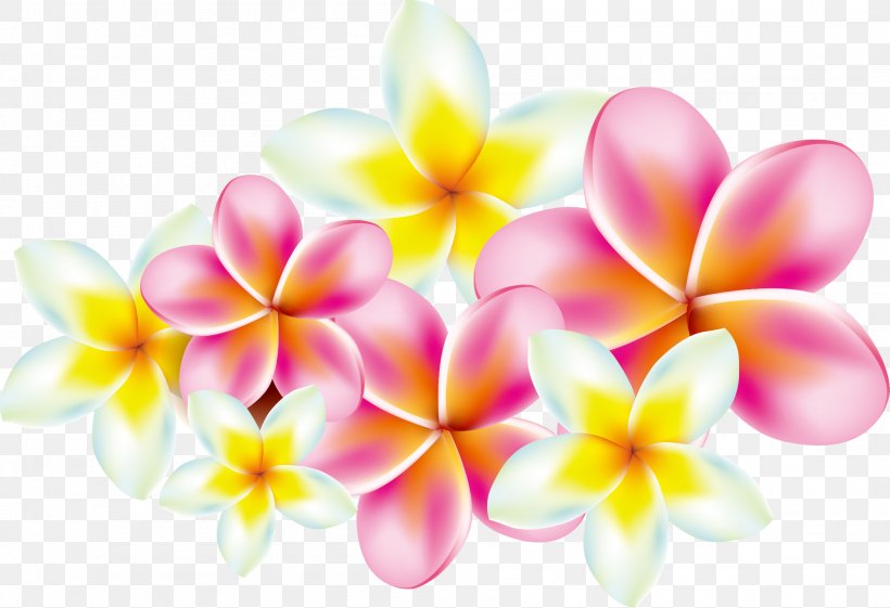 Flower Frangipani Clip Art, PNG, 2106x1441px, Frangipani, Blossom, Floral Design, Floristry, Flower Download Free