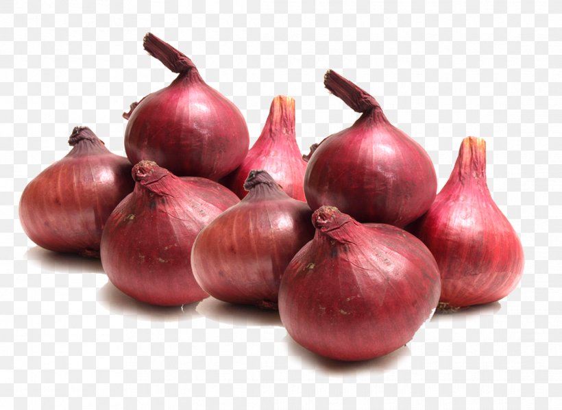 Potato Onion Onion Ring Garlic Vegetable, PNG, 1115x815px, Potato Onion, Allium Fistulosum, Deep Frying, Food, Fruchtgemxfcse Download Free