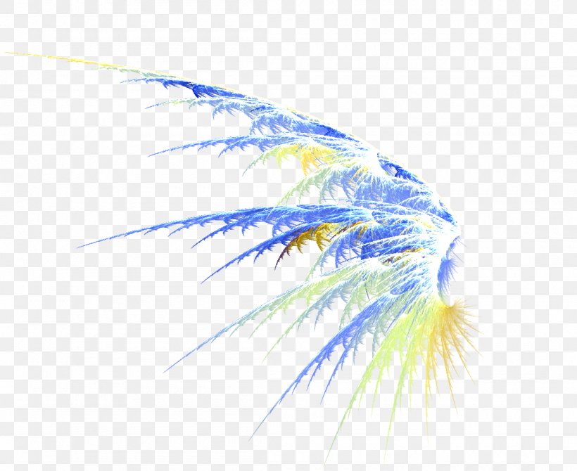 Wing Feather Clip Art, PNG, 1100x900px, Wing, Blue, Close Up, Feather, Symmetry Download Free
