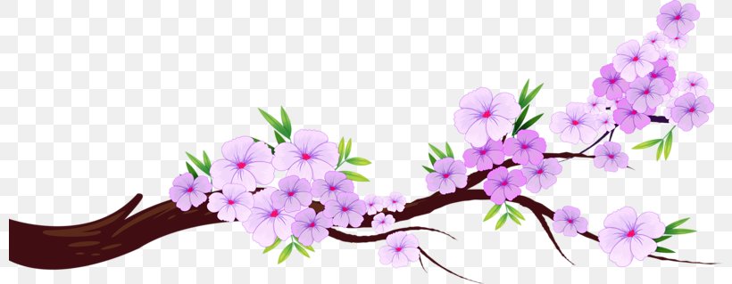 Stock Photography Royalty-free Illustration, PNG, 800x319px, Photography, Blossom, Branch, Cartoon, Colourbox Download Free