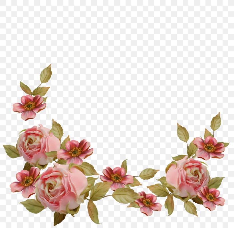 Flower Floral Design Blog Clip Art, PNG, 800x800px, Flower, Artificial Flower, Blog, Blossom, Branch Download Free