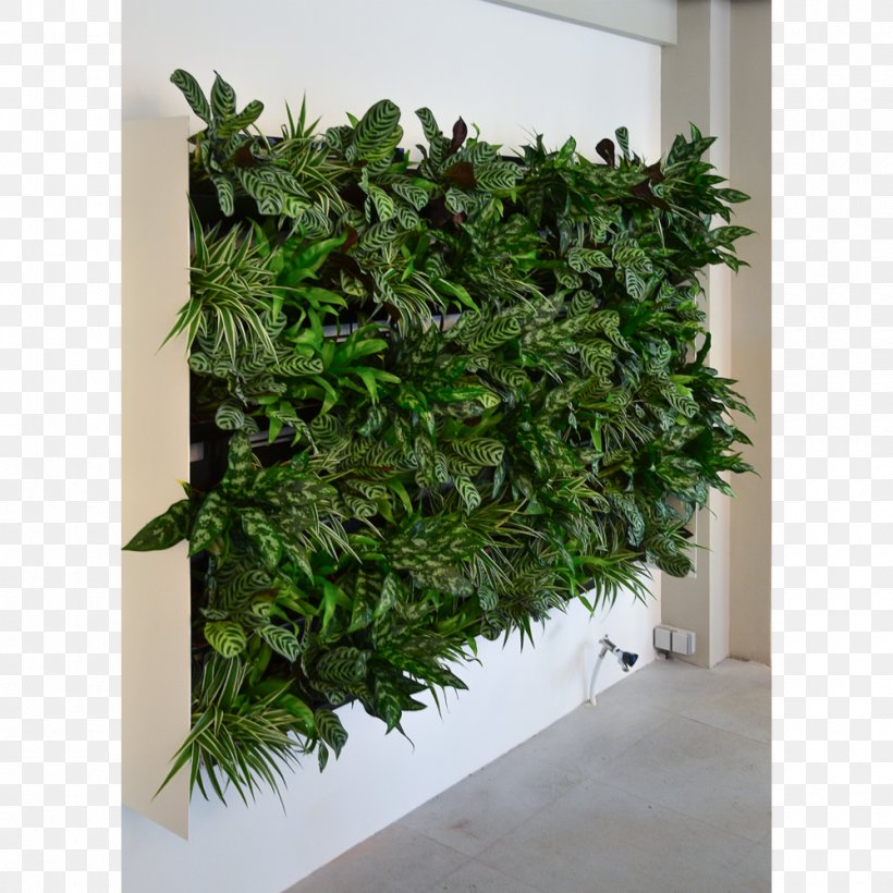 Flowerpot Green Wall Garden Houseplant, PNG, 1000x1000px, Flowerpot, Bertikal, Door, Evergreen, Garden Download Free
