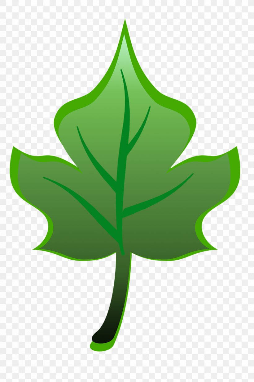 Leaf Plant Stem Tree Clip Art, PNG, 853x1280px, Leaf, Green, Plant, Plant Stem, Symbol Download Free
