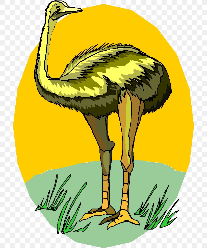 Common Ostrich Clip Art GIF Image Drawing, PNG, 717x981px, Common Ostrich, Animation, Artwork, Beak, Bird Download Free