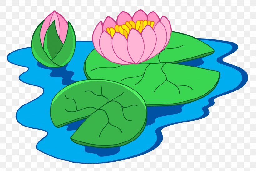 Nymphaea Alba Clip Art, PNG, 2281x1532px, Nymphaea Alba, Area, Artwork, Can Stock Photo, Drawing Download Free