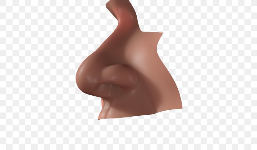 Human Nose Olfaction Clip Art, PNG, 640x480px, Watercolor, Cartoon, Flower, Frame, Heart Download Free