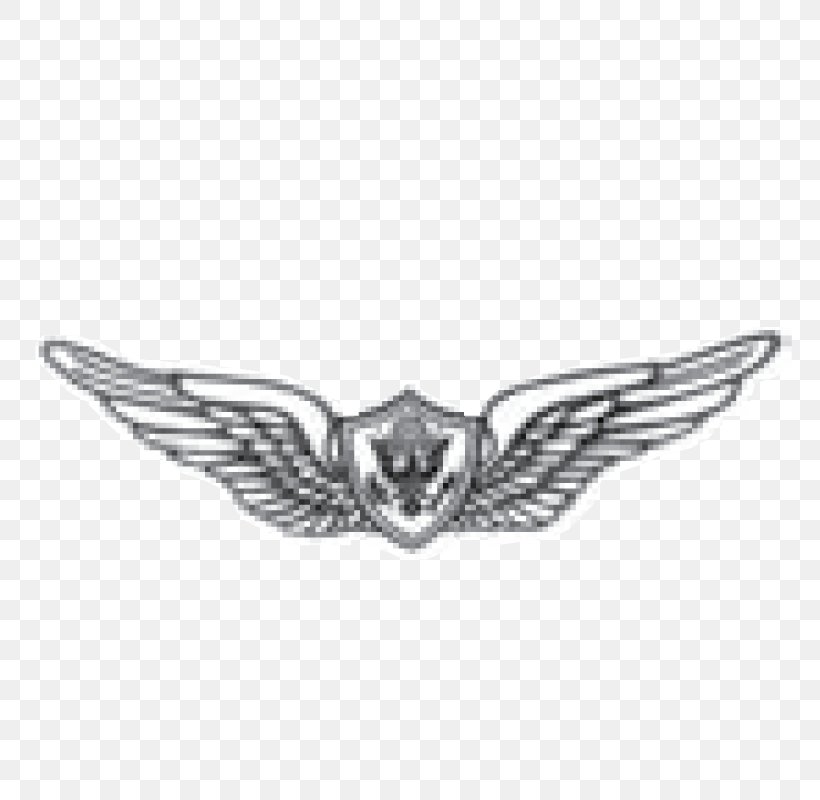 Lapel Pin Military Aircrew Badge Army, PNG, 800x800px, Lapel Pin, Aircrew Badge, Army, Artillery, Badge Download Free