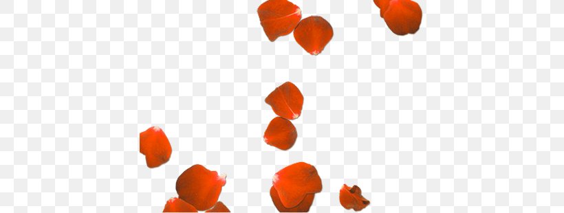 Petal Flower Clip Art, PNG, 413x310px, Petal, Flower, Heart, Orange, Red Download Free