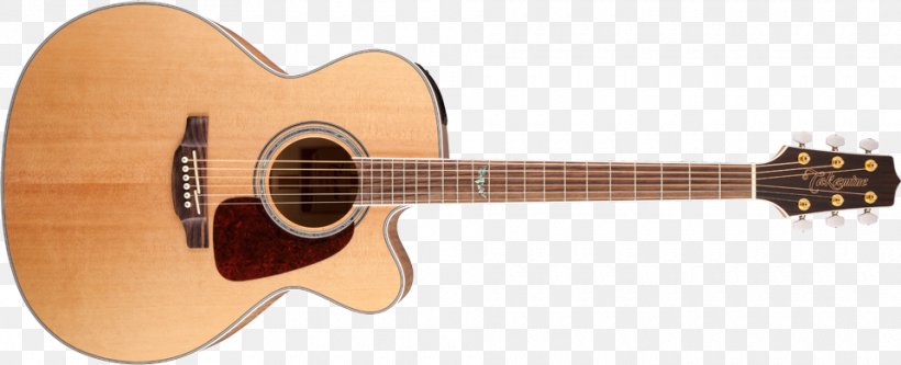 Acoustic-electric Guitar Takamine Guitars Cutaway Dreadnought, PNG, 960x391px, Acousticelectric Guitar, Acoustic Electric Guitar, Acoustic Guitar, Cavaquinho, Cuatro Download Free