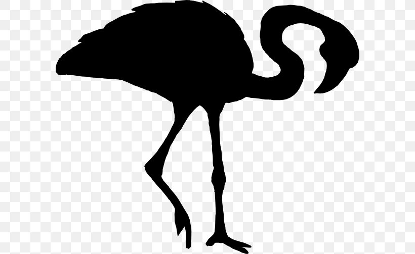 Beak Water Bird Neck Clip Art, PNG, 600x503px, Beak, Bird, Blackandwhite, Cranelike Bird, Emu Download Free