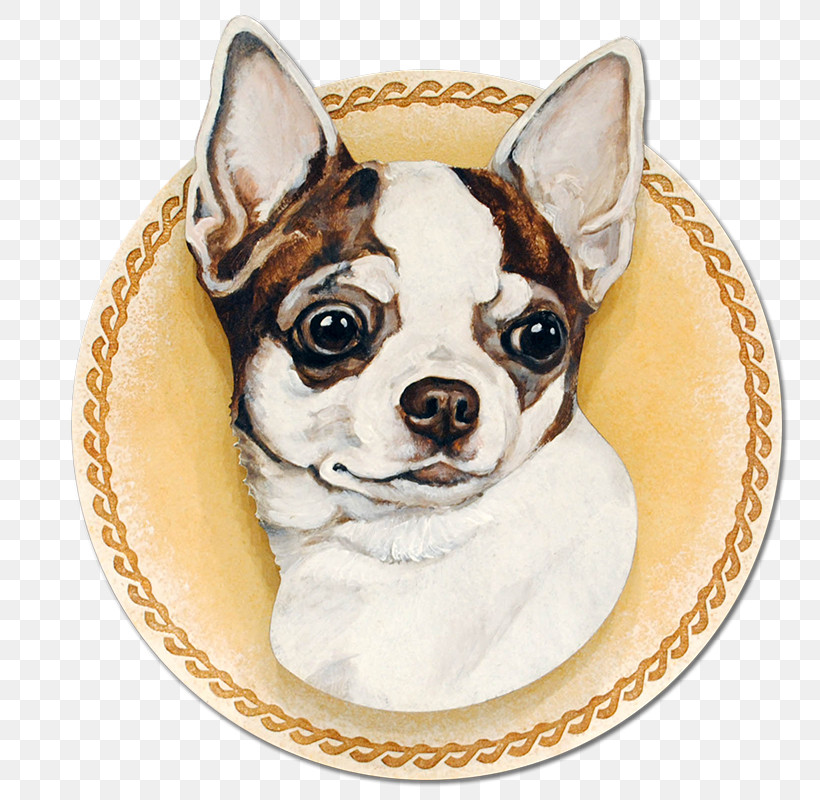 French Bulldog, PNG, 800x800px, Dog, Boston Terrier, Chihuahua, Companion Dog, Ear Download Free