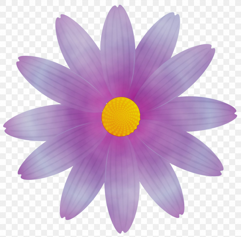 Petal Violet Flower Purple Pink, PNG, 3000x2943px, Marguerite Flower, Annual Plant, Aster, Daisy Family, Flower Download Free