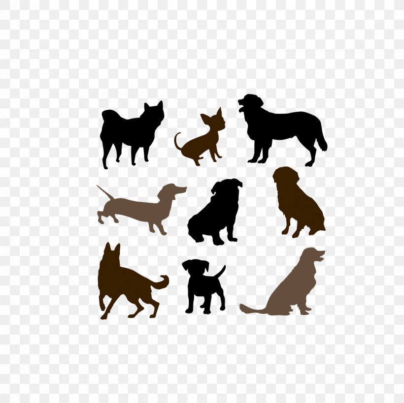 St. Bernard Jack Russell Terrier Puppy Pet, PNG, 2362x2362px, St Bernard, Breed, Carnivoran, Dog, Dog Breed Download Free