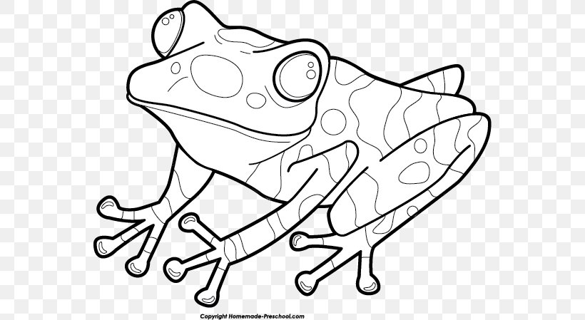 The Frog And Toad Coloring Book Frog And Toad Are Friends Png 559x449px Watercolor Cartoon 