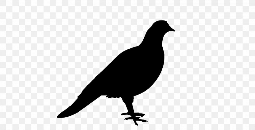 Bird Silhouette Columbidae Stencil Drawing, PNG, 1920x983px, Bird, Art, Beak, Beatles, Birdcage Download Free