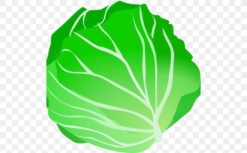Clip Art Leaf Vegetable Cabbage Fruit, PNG, 512x509px, Vegetable, Cabbage, Collard Greens, Food, Frozen Vegetables Download Free