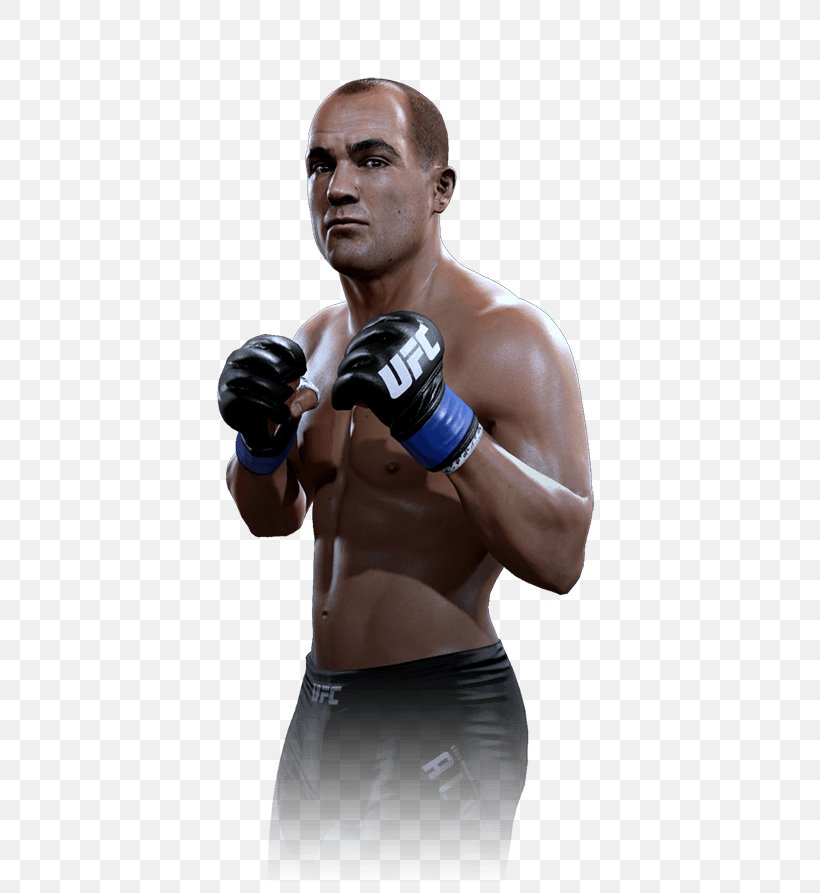CM Punk EA Sports UFC 2 Ultimate Fighting Championship Mixed Martial Arts, PNG, 567x893px, Watercolor, Cartoon, Flower, Frame, Heart Download Free