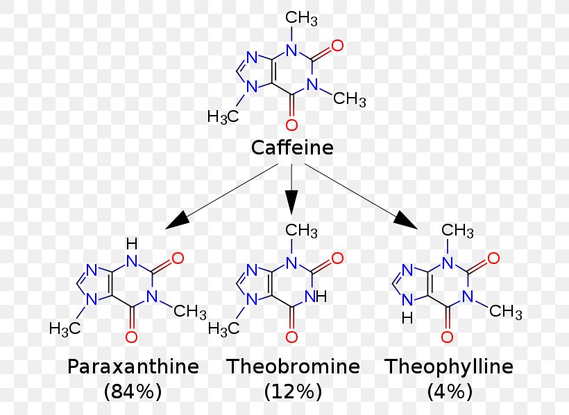 Coffee Tea Theobromine Paraxanthine Theophylline, PNG, 710x599px, Watercolor, Cartoon, Flower, Frame, Heart Download Free