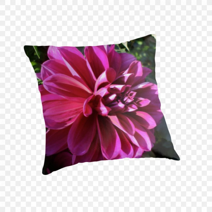 Dahlia Throw Pillows Cushion Cut Flowers, PNG, 875x875px, Dahlia, Cushion, Cut Flowers, Family, Family Film Download Free