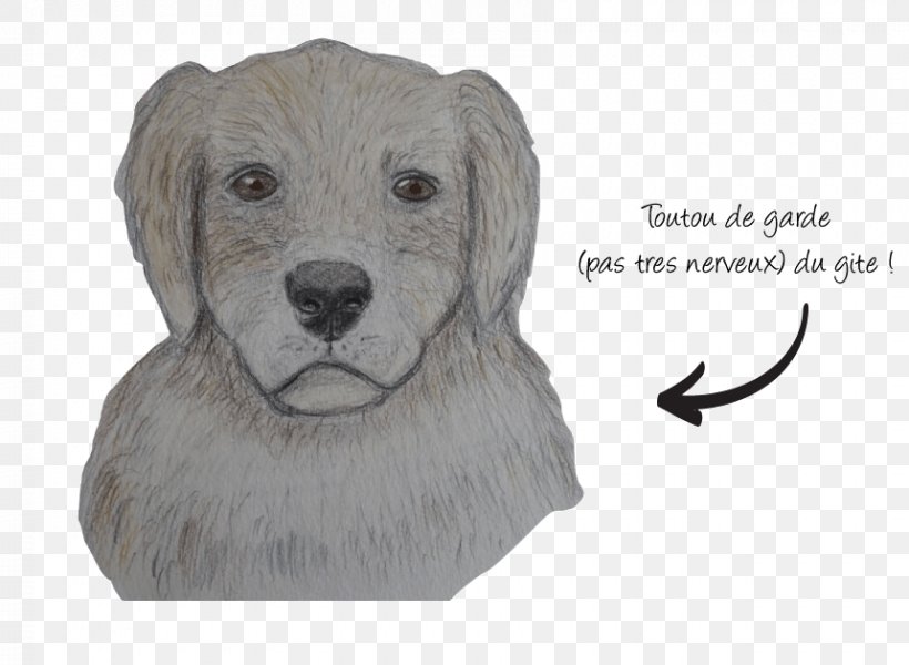 Dog Breed Le Mourtis Puppy Sporting Group, PNG, 860x630px, Dog Breed, Carnivoran, Dog, Dog Like Mammal, Drawing Download Free