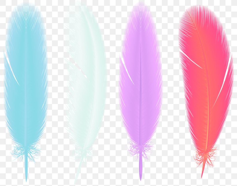 Feather Drawing Clip Art, PNG, 800x644px, Feather, Drawing, Google Images, Gratis, Pink Download Free